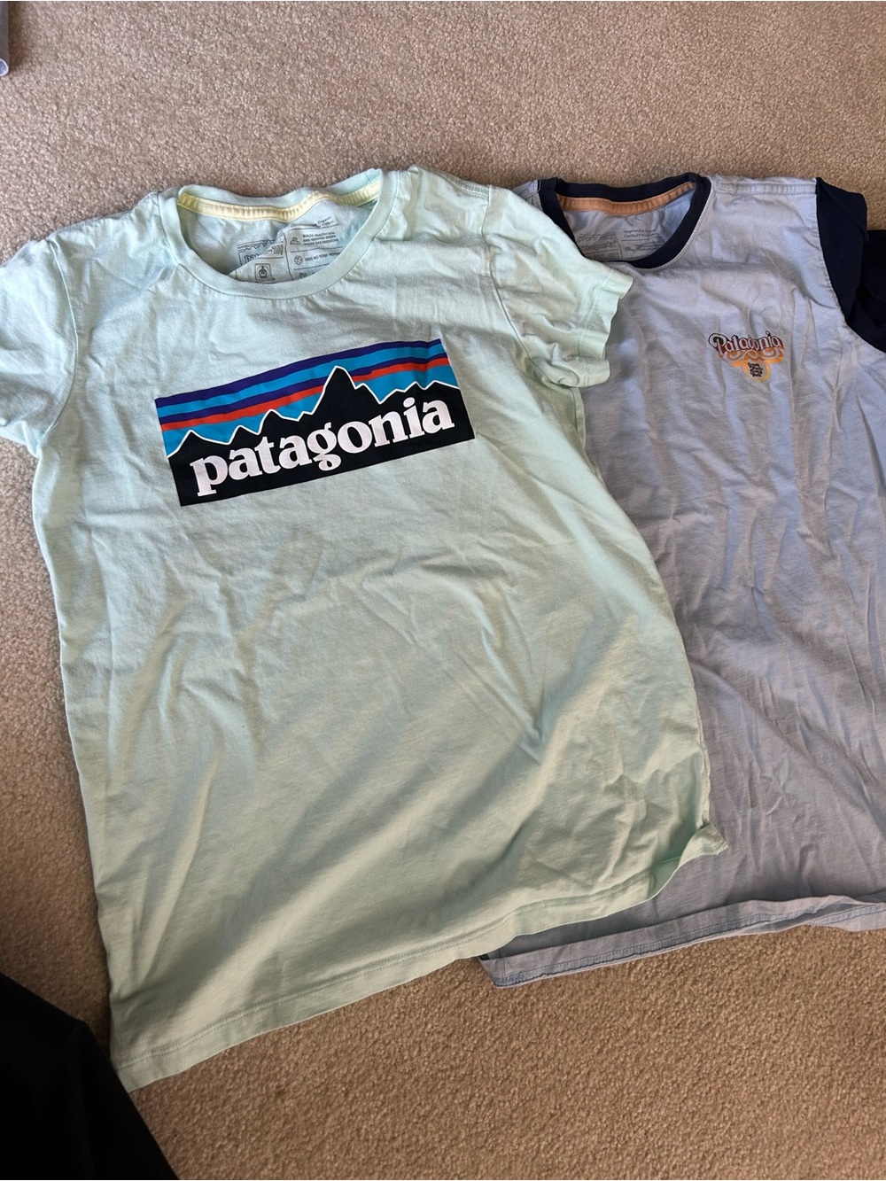 2 Patagonia T-shirt kids xxl EUC